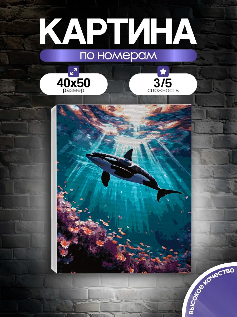Картина по номерам Касатка