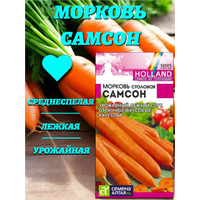 Семена Моркови Самсон - идеальный выбор для тех, кто ценит качество и результат. Голландские семена гарантируют  ...