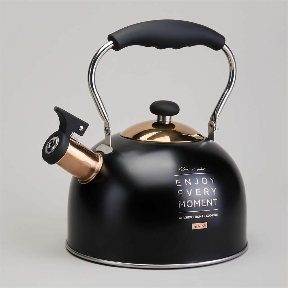 Чайник для плиты 914-162 25л индукция