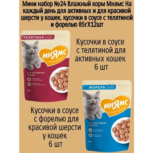 Мини набор №24 Влажный корм Мнямс для активных домашних кошек, кусочки в соусе с телятиной и форелью, 12 шт х 85 гр