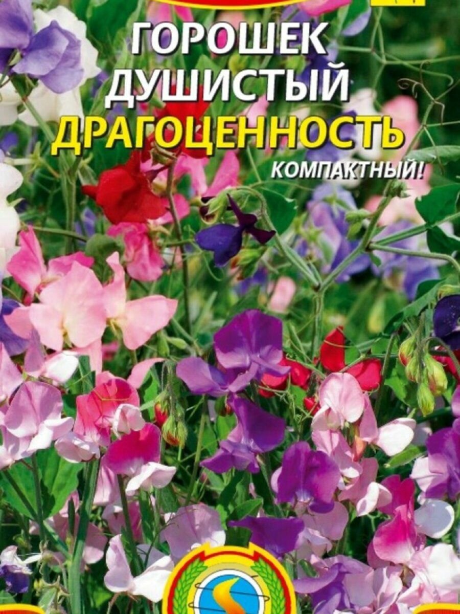 Семена Горошек душистый Драгоценность 12 шт Плазменные семена