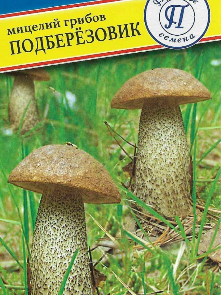 Подберёзовик 50 мл Семена Престиж