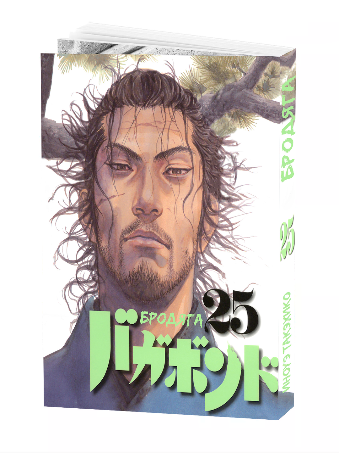Манга "Бродяга", 25 том автор YOSHIKAWA Eiji, Takehiko Inoue, мягкий переплет, 200 стр.