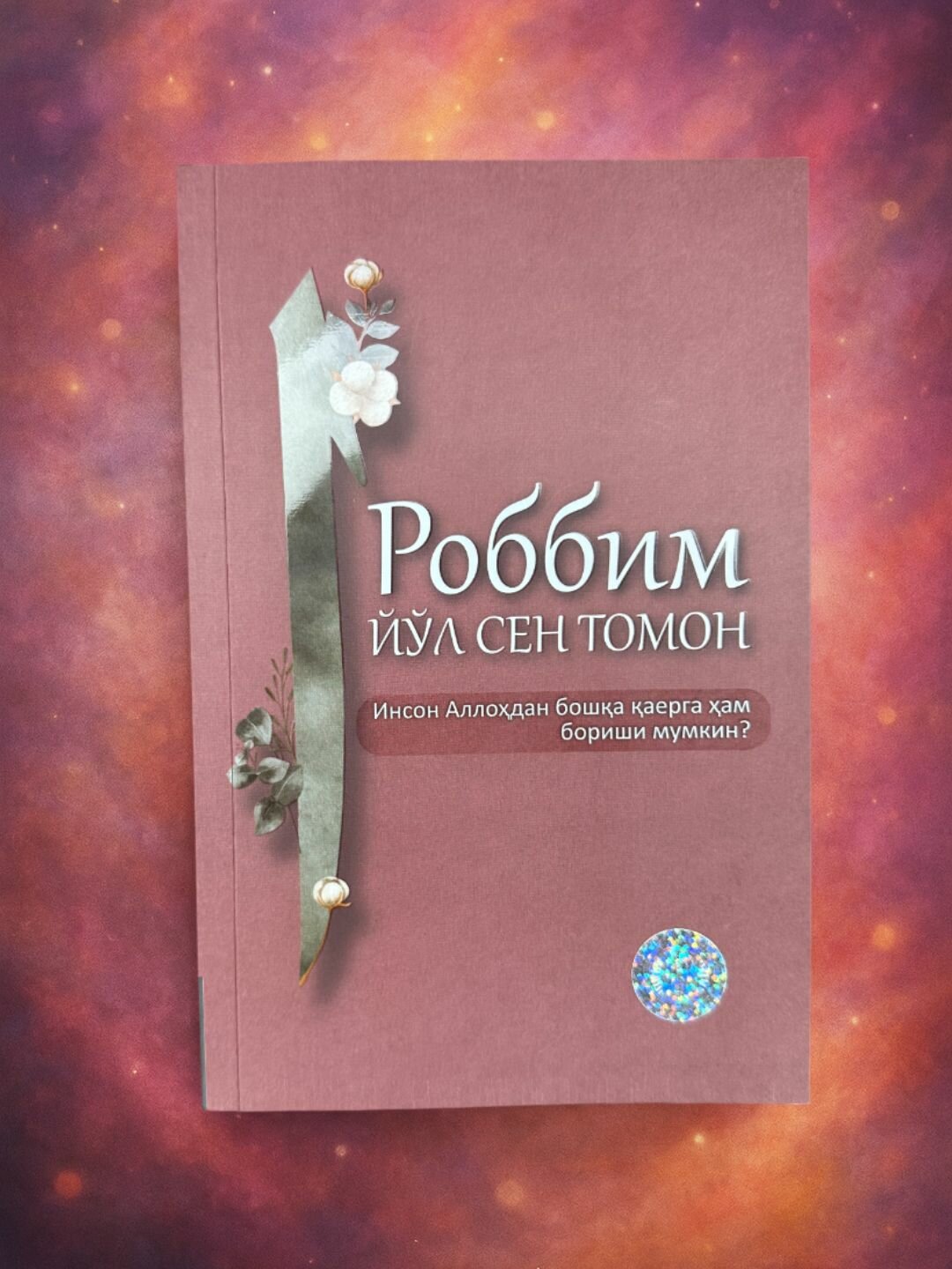 Роббим Йул Сен Томон, Жавон букс, Инсон Алллохдан боша аерга ҳам бориши мумкин?