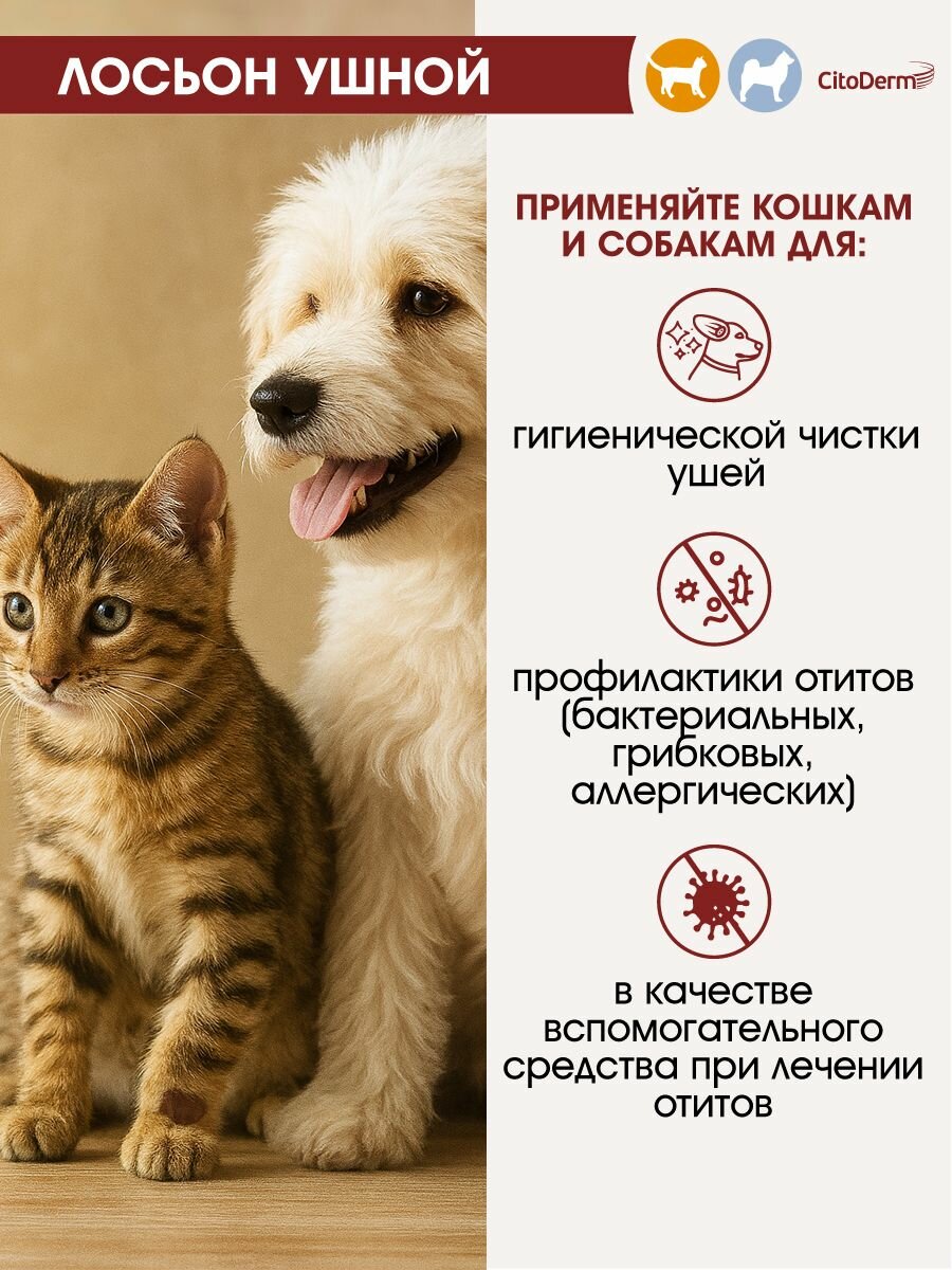 Картинки Лосьон для ушей кошек и собак CitoDerm с хлоргексидином 50 мл