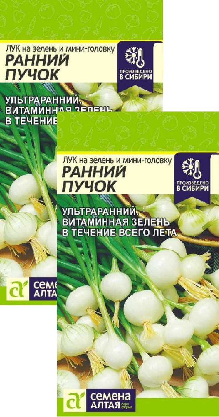 Семена Алтая Лук на зелень и мини-головку Ранний пучок (03 г) 2 пакета