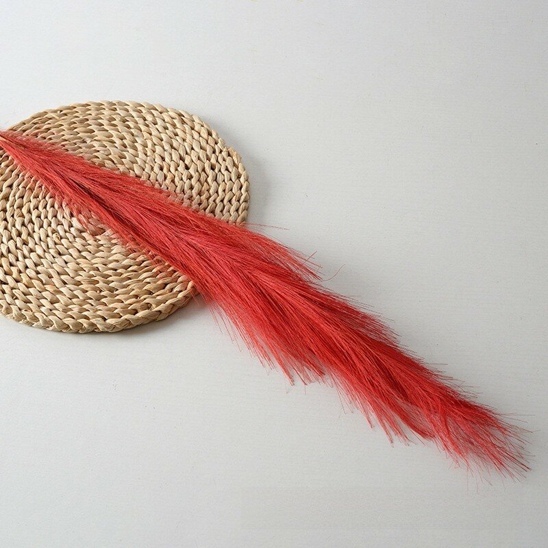 Dekorativnyy phragmites australis s mnogokolornymi perevami dlya stennogo iskusstva i prazdnichnykh kompozitsiy krasnyy