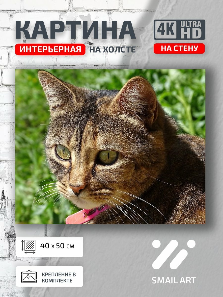 Картина на холсте интерьерная 40 на 50 на стену Траве Animal для детской animal style декор