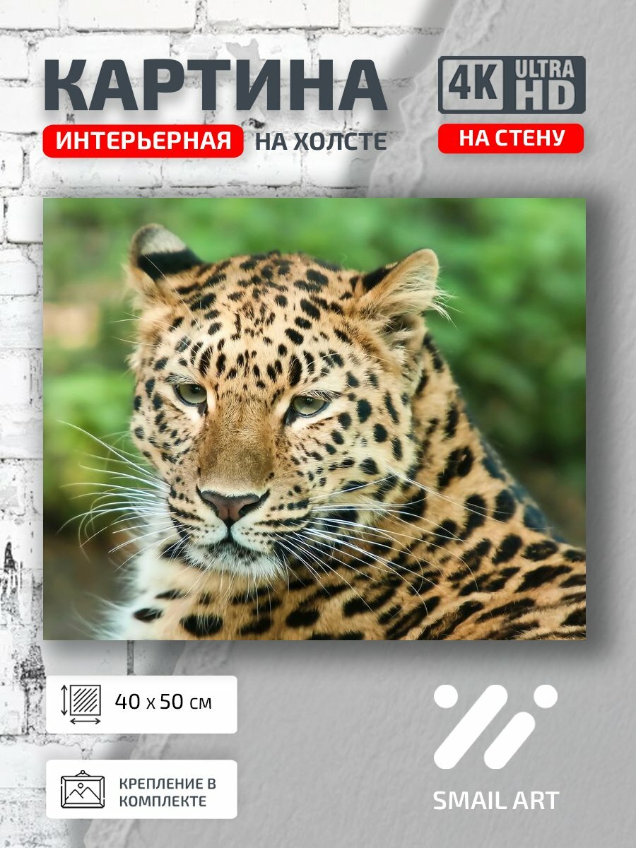 Картина на холсте интерьерная 40 на 50 на стену Леопард Landscape для офиса пейзаж интерьер