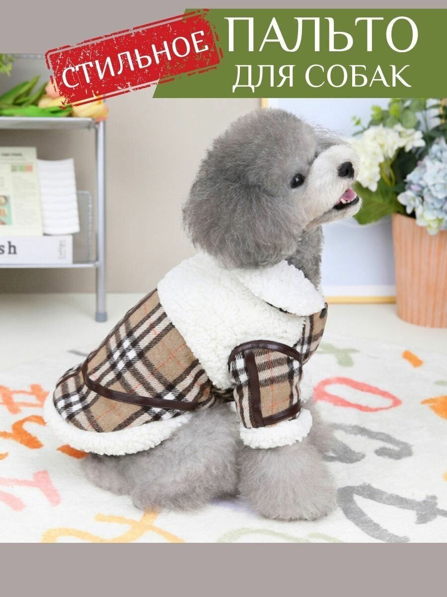 Куртки для животных Anshery XL коричневый