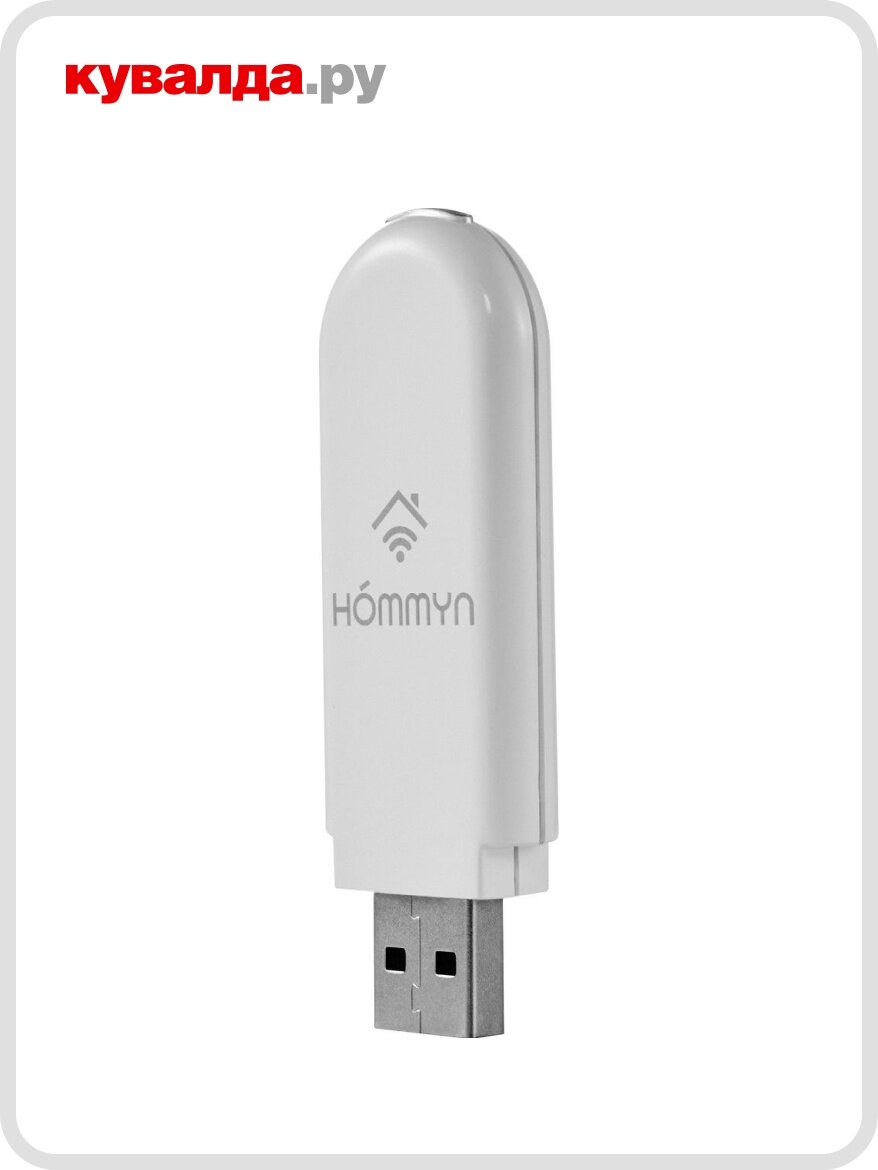 Модуль съемный управляющий HOMMYN HDN/WFN-02-01 НС-1416708