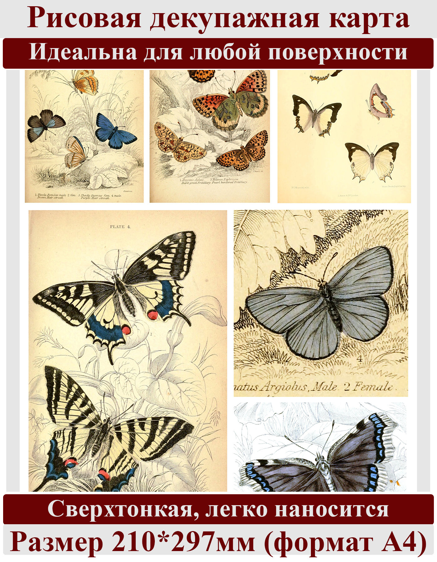 Декупажная рисовая карта бумага без прожилок А4 салфетка 0000 бабочки винтаж крафт Milotto