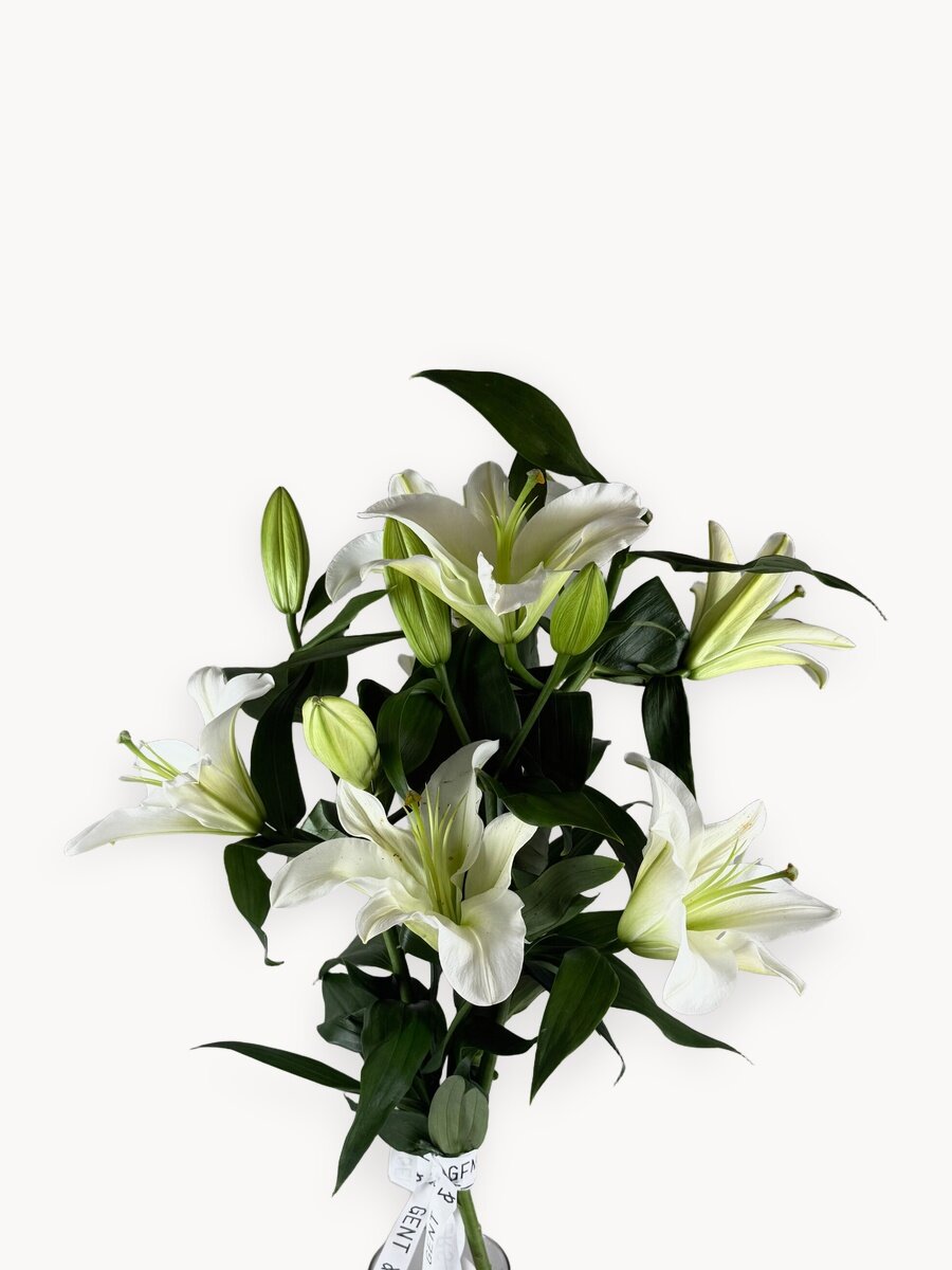 Монобукет "Лилии", GENT & FLOW, упаковка в аквабокс, 3 лилии