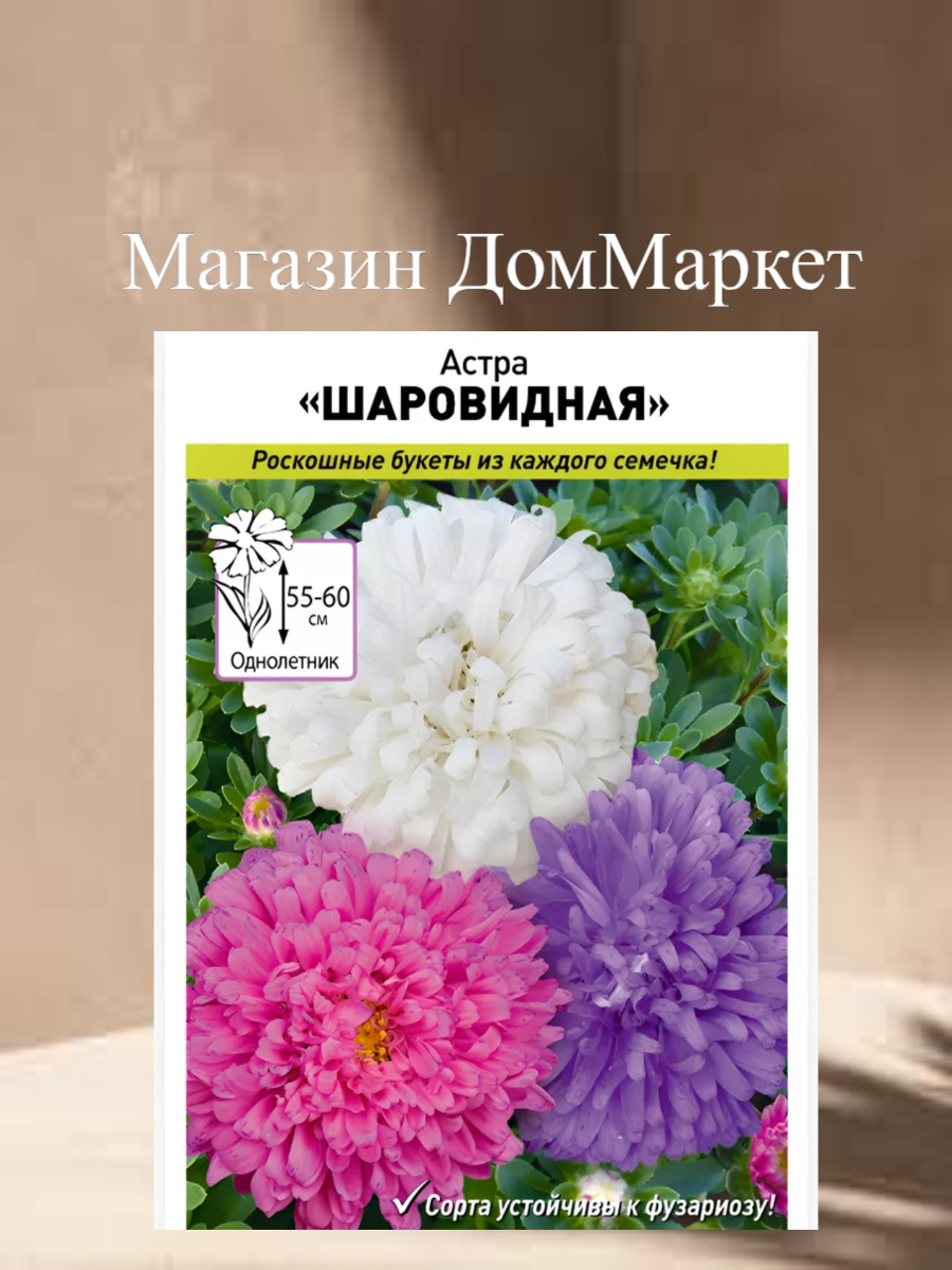 Астра 