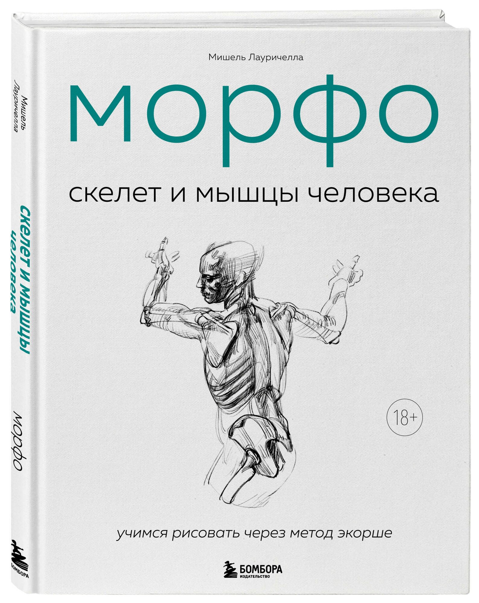 Морфо. Скелет и мышцы человека. Анатомия для художников — фото 1