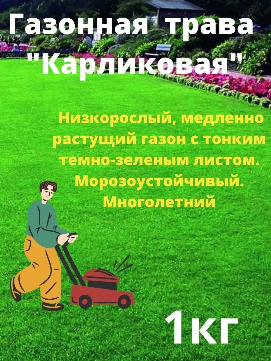 Газонная Трава 
