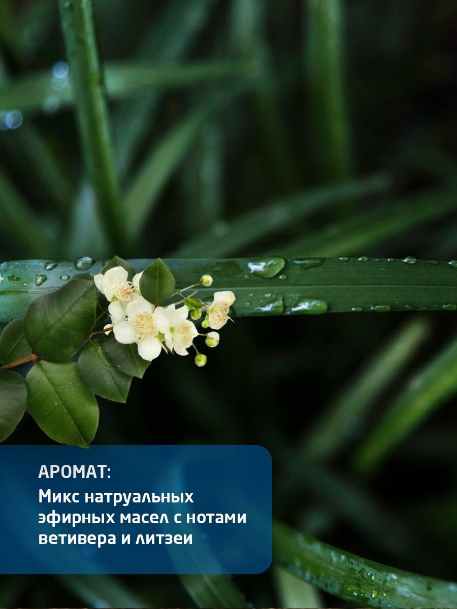 Weleda Смягчающий Мужской Крем для бритья, для всех типов кожи, 75 мл. — фото 1