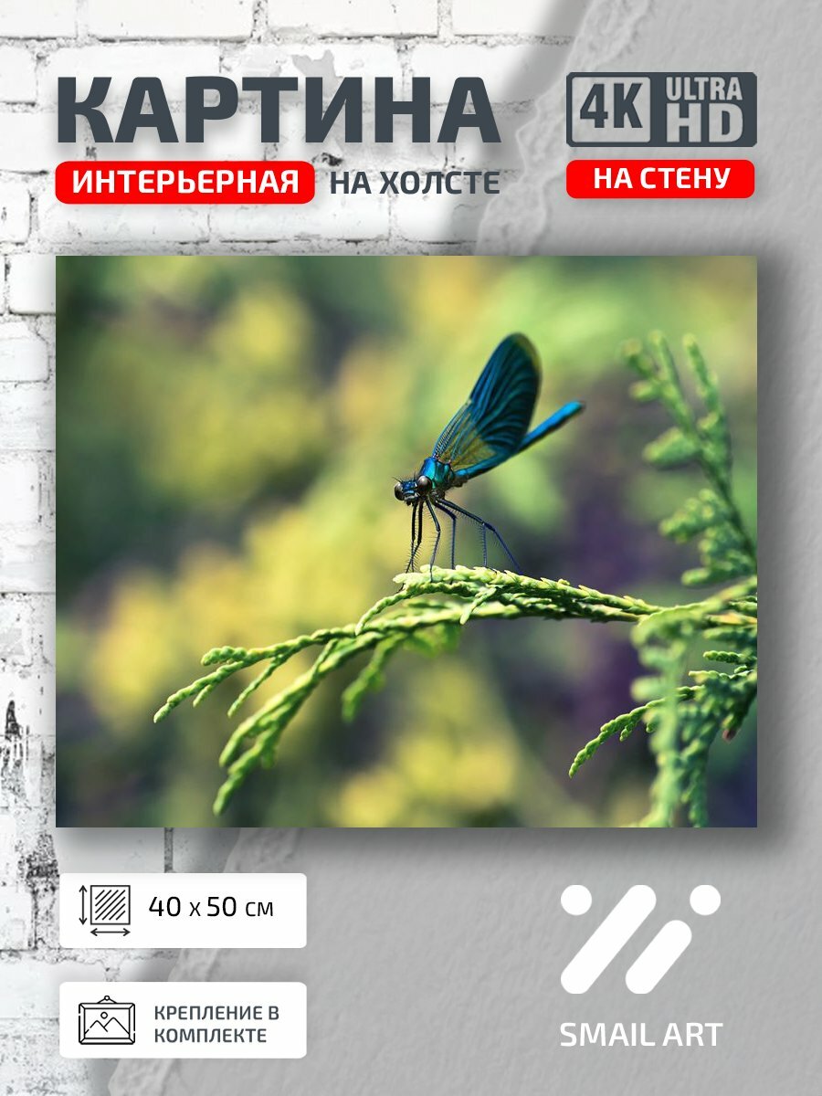 Картина на холсте интерьерная 40 на 50 на стену Стрекоза Mood для студии атмосфера интерьер