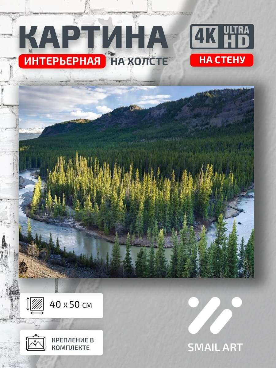 Картина на холсте интерьерная 40 на 50 на стену Пейзаж лес для студии атмосфера