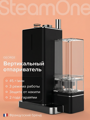 Изображение товара Отпариватель напольный вертикальный SteamOne GEORGE (EUES200B) 2000Вт, 1.2 л, 3 режима