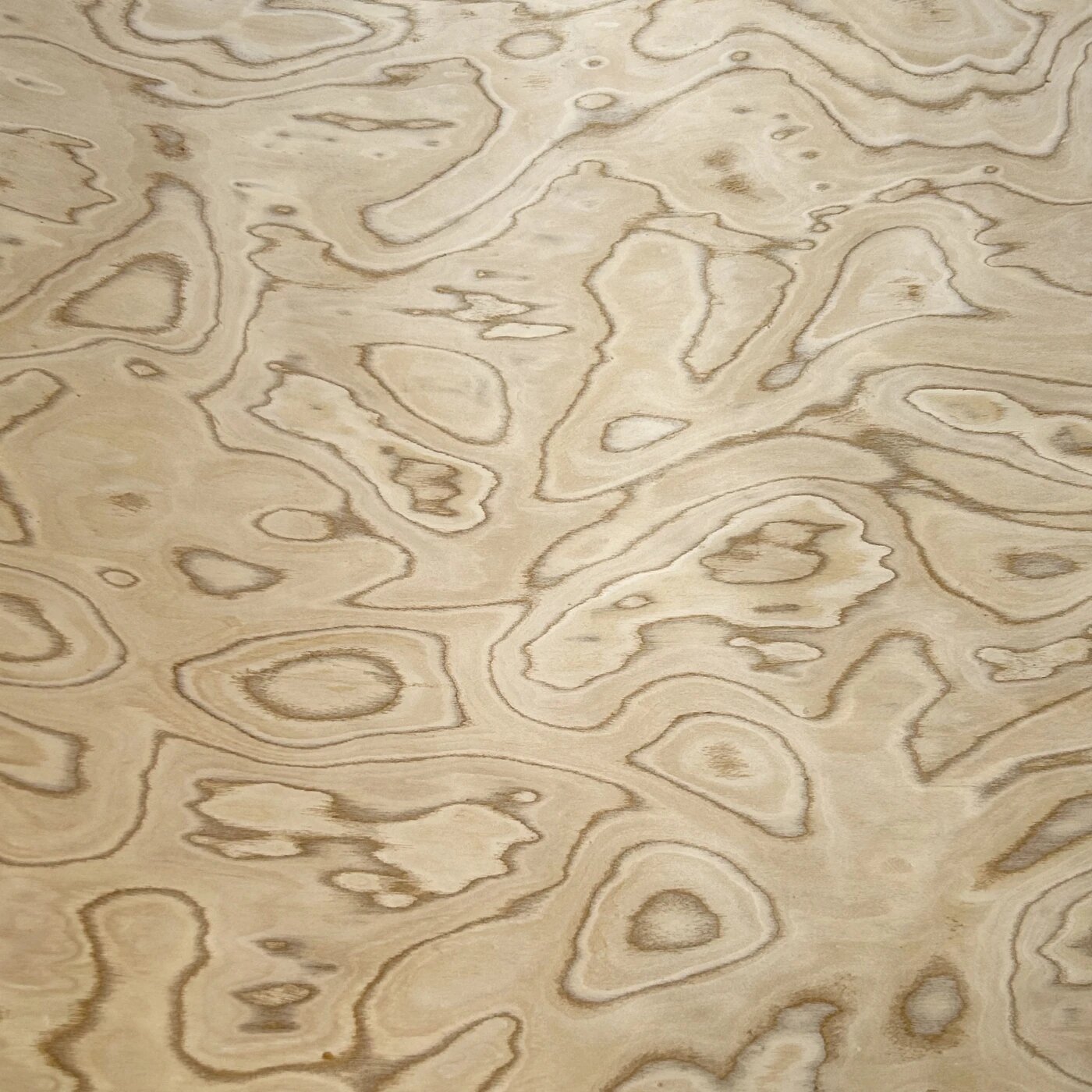 Шпон Golden Maple Burl 58x250 см, толщина 0,3 мм