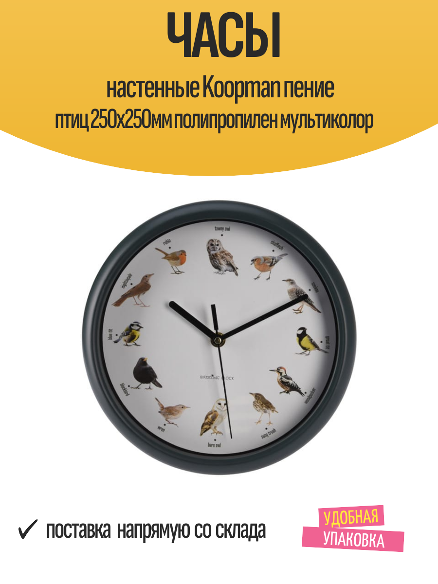 Часы настенные Koopman пение птиц 250х250мм полипропилен мультиколор
