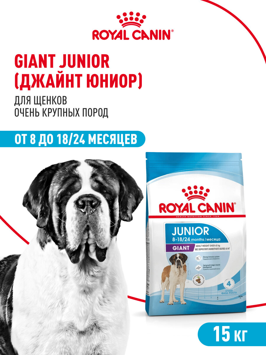 Корм сухой Royal Canin Giant Junior для щенков очень крупных пород в возрасте от 8 до 18/24 месяцев 15 кг — фото 1