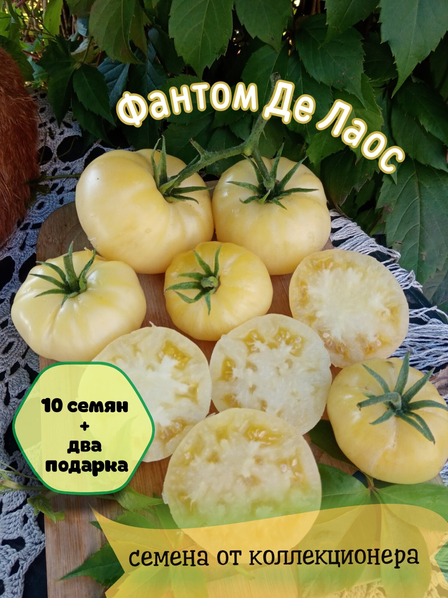 Томат Фантом Де Лаос, мировая селекция, коллекционный сорт