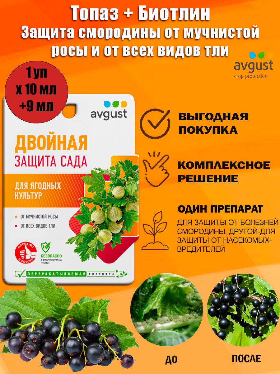Средство от болезней и тли на смородине Двойная защита сада Avgust, 19 мл