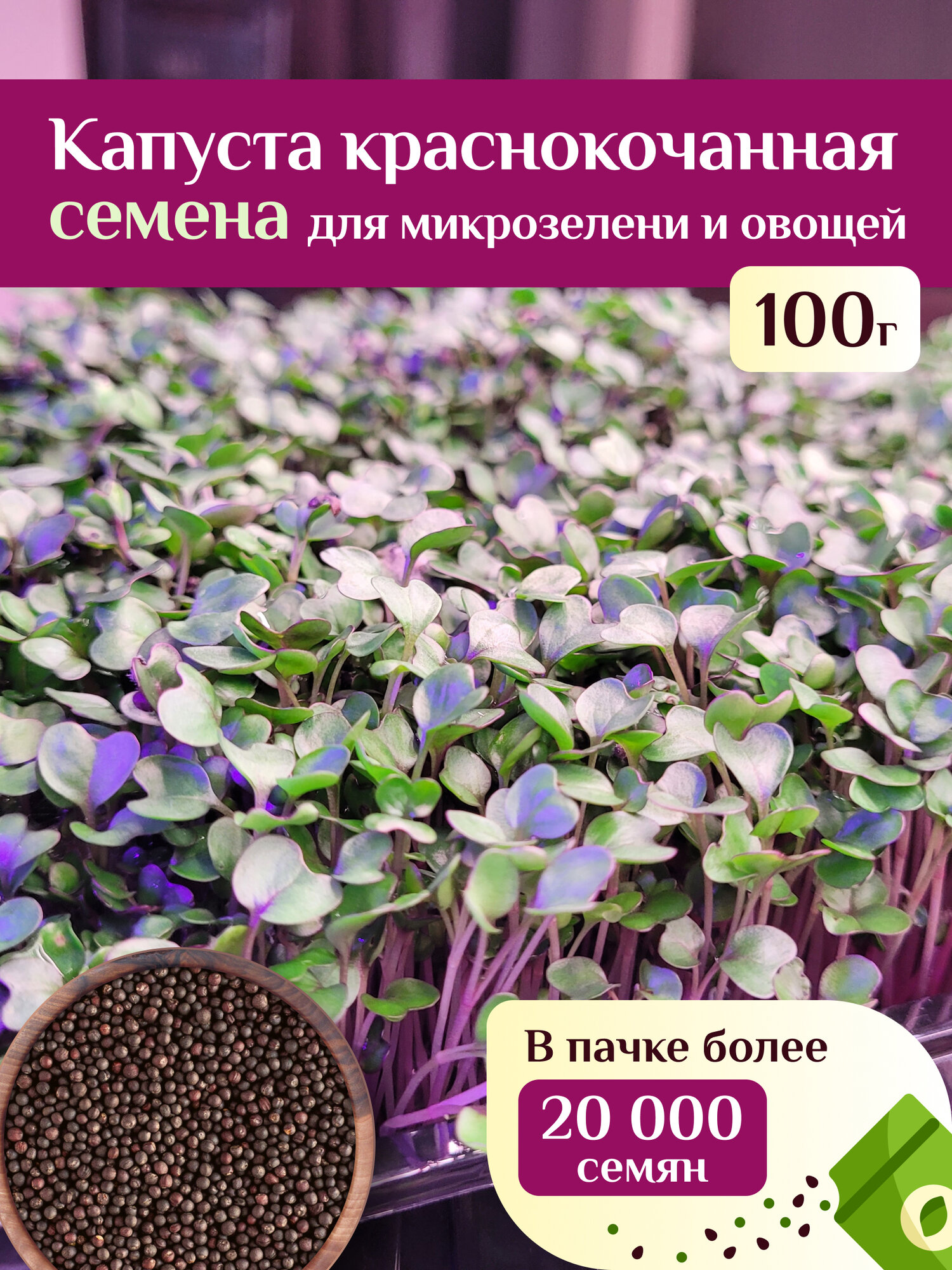Капуста краснокочанная для микрозелени и овощей Ильинские проростки 100г