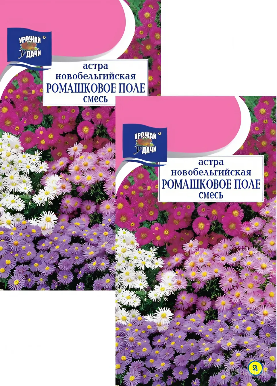 Астра Новобельгийская многолетняя Ромашковое поле смесь (0,01 г), 2 пакета