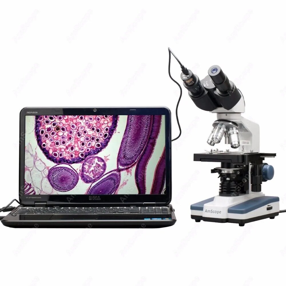 AmScope Бинокулярный Комбинированный Микроскоп 40X-2500X