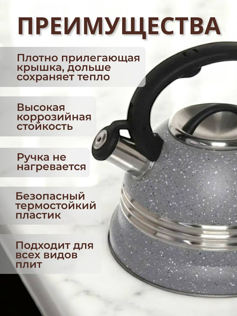 Чайник 3 литра стальной для всех видов поверхностей с свистком — фото 1