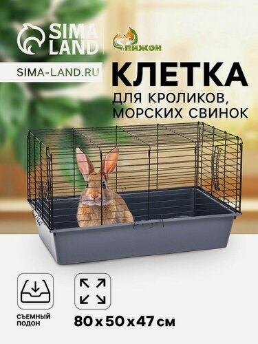 Изображение товара Клетка для кроликов, морских свинок "Пижон" №4 складная , 80 х 50 х 47 см, светло-серая
