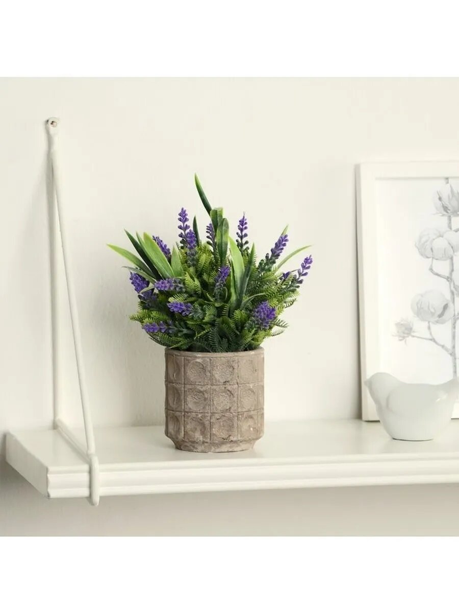 Бонсай в горшке 