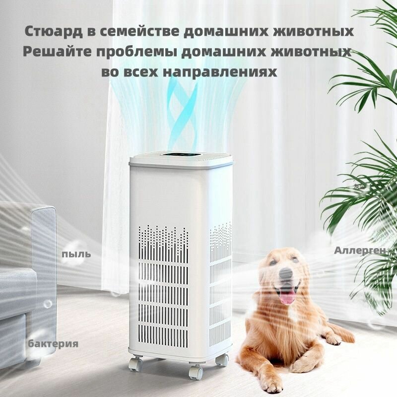 Картинки Воздухоочиститель для дома nobico KJ360 (В дополнение к плавающим аллергенам шерсти для кошек и собак, в дополнение к запаху, очиститель воздуха)