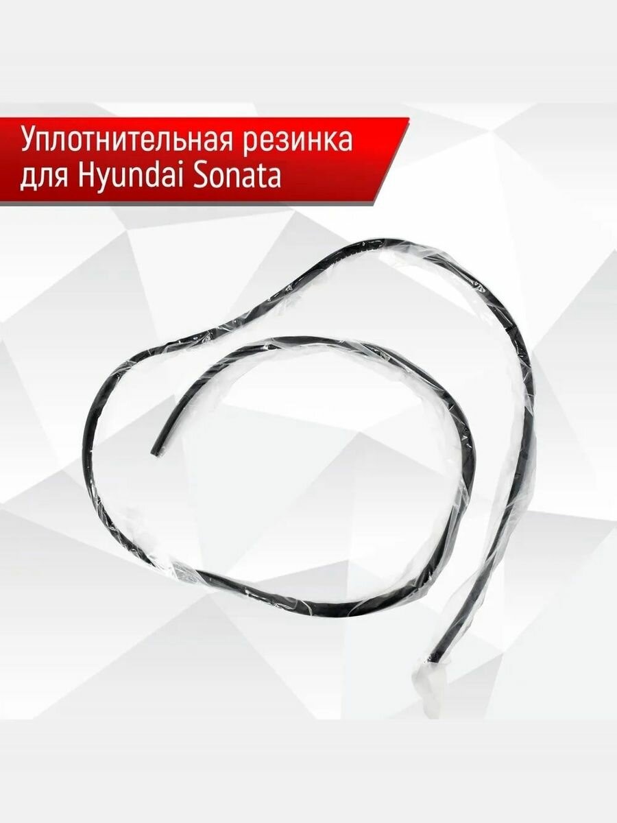 Уплотнительная резинка, молдинг лобового стекла для Хендай Соната Hyundai Sonata (тагаз)