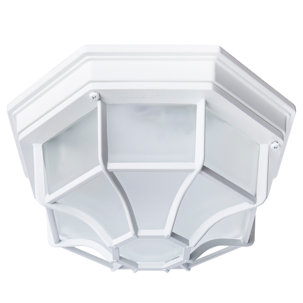 Уличный потолочный светильник Arte Lamp PEGASUS Е27 белый IP44 60W