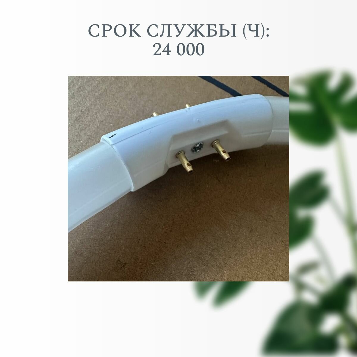 Кольцевые Лампы Xiaomi Кольцевая Лампа OSRAM FC 55 W/830 2GX13 LUMILUX люминесцентная D16 mm теплый белый