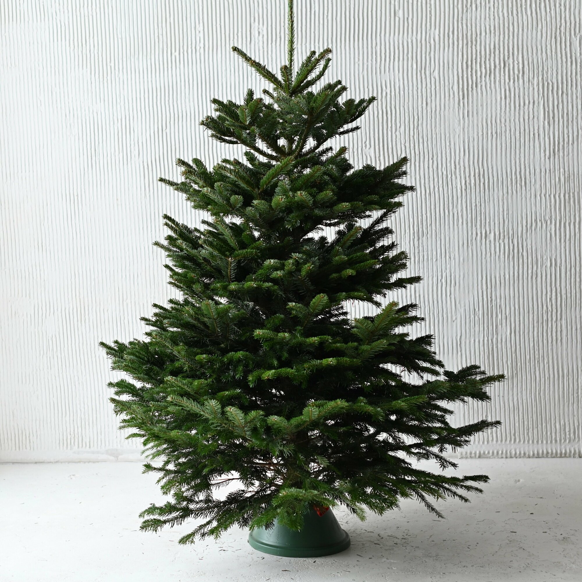 Датская елка Йолка 