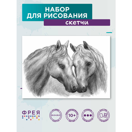 Раскраска антистресс чернографитными карандашами скетч по эскизу фрея RPSB-0046 