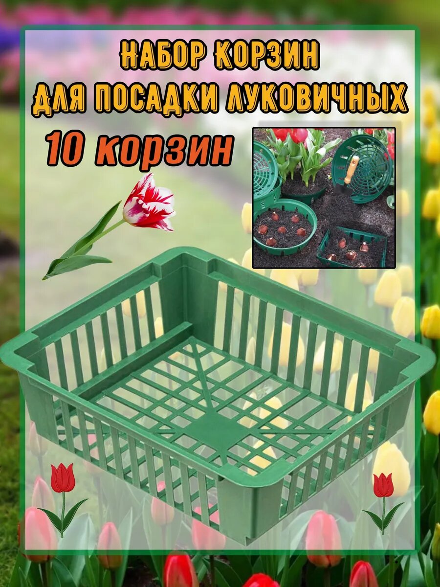 Корзина для луковичных растений и выращивания бабочек 30х25х7см набор 10 шт зеленый
