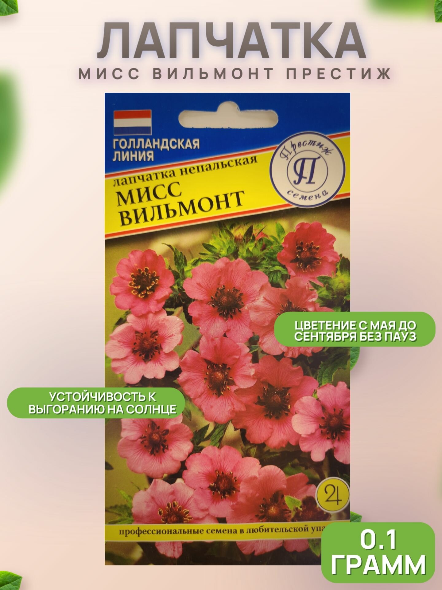 Лапчатка Мисс Вильмонт 01г /Престиж
