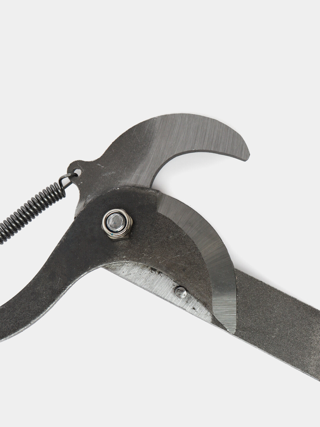 Секатор для обрезки высоких деревьев штанговый, сучкорез — фото 1