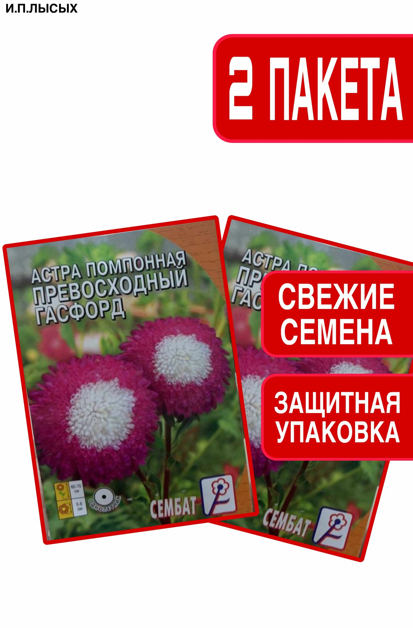 Семена Астра Помпонная 