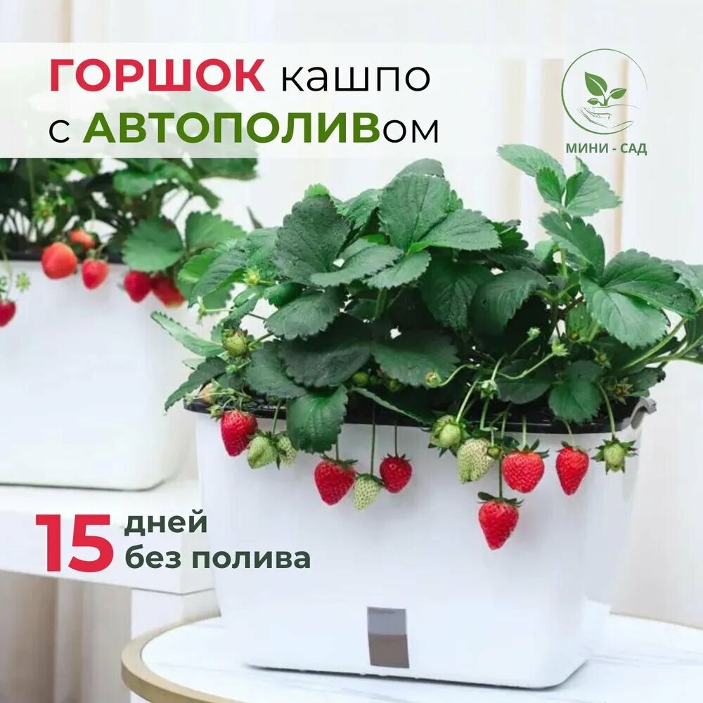 Мини - Сад Горшок для цветов 19.5 см х 22.5 см х 32 см 6 л 1 шт