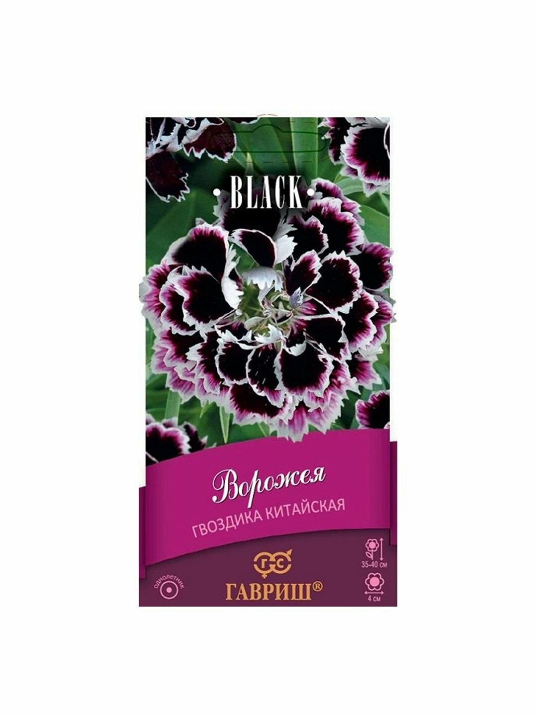 Семена Гвоздика китайская Ворожея многолетние Гавриш 1 пачка - 0.1г семян