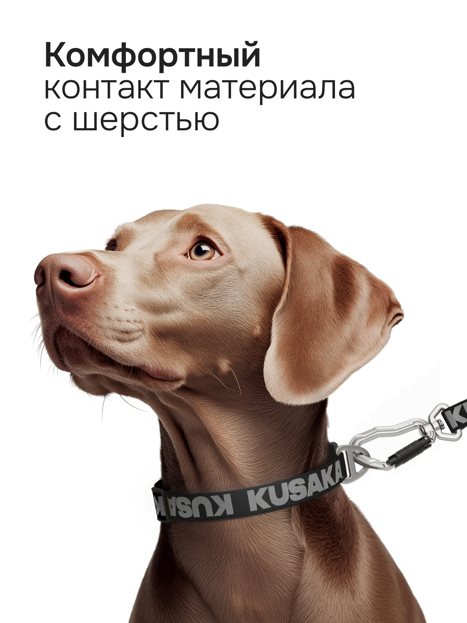 Ошейник для собак KUSAKA черный, S (мелкие породы) — фото 1