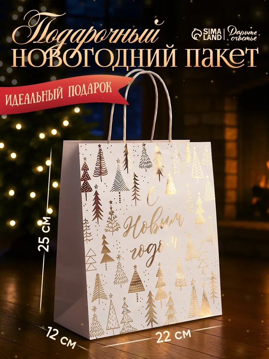 Подарочный пакет «Новогодняя пора» 22 х 25 х 12 см белый для упаковки подарка на Новый год