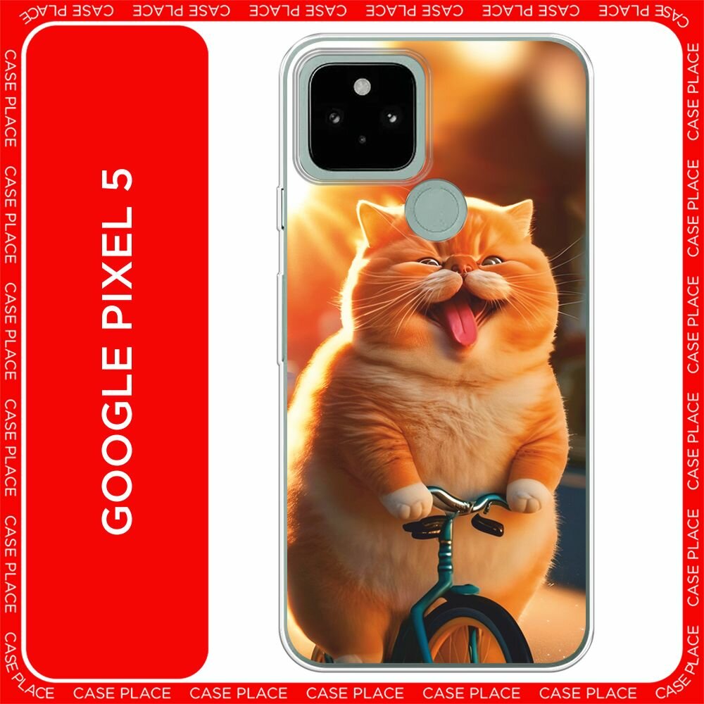 Чехол на Google Pixel 5 / Гугл Пиксель 5 с принтом "Кот на велике"